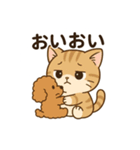 スコ姫の日常（個別スタンプ：19）