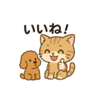 スコ姫の日常（個別スタンプ：21）