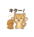 スコ姫の日常（個別スタンプ：22）