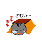 アメショぽんずSP（個別スタンプ：2）