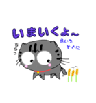 アメショぽんずSP（個別スタンプ：13）