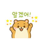 ハムスター韓国語バージョン（個別スタンプ：8）