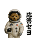 ティムとロイ2（個別スタンプ：1）