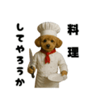 ティムとロイ2（個別スタンプ：12）