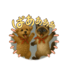 ティムとロイ2（個別スタンプ：14）