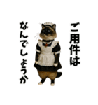ティムとロイ2（個別スタンプ：15）