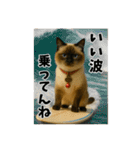 ティムとロイ2（個別スタンプ：36）