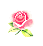 薔薇のお花スタンプ2（個別スタンプ：4）