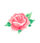 薔薇のお花スタンプ2（個別スタンプ：5）