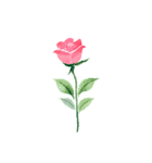 薔薇のお花スタンプ2（個別スタンプ：6）