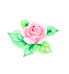 薔薇のお花スタンプ2（個別スタンプ：8）