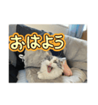 れいの大冒険（個別スタンプ：2）