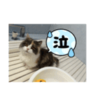 れいの大冒険（個別スタンプ：3）