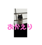 れいの大冒険（個別スタンプ：8）