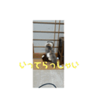 れいの大冒険（個別スタンプ：9）