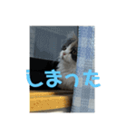 れいの大冒険（個別スタンプ：10）