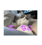 れいの大冒険（個別スタンプ：14）