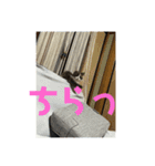 れいの大冒険（個別スタンプ：15）