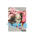 れいの大冒険（個別スタンプ：16）