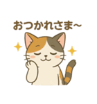 【猫】まこスタンプ（個別スタンプ：8）