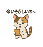 【猫】まこスタンプ（個別スタンプ：12）