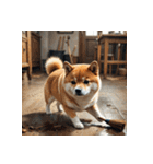 柴犬の日常4（個別スタンプ：4）