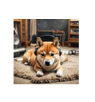 柴犬の日常4（個別スタンプ：10）