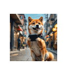 柴犬の日常4（個別スタンプ：15）