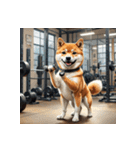 柴犬の日常4（個別スタンプ：23）
