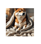 柴犬の日常4（個別スタンプ：24）