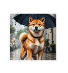 柴犬の日常4（個別スタンプ：25）