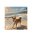 柴犬の日常4（個別スタンプ：31）