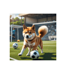 柴犬の日常4（個別スタンプ：37）