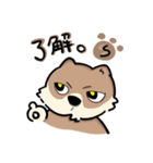 相川 犬 猫 兎 雛 蝉（個別スタンプ：1）