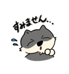 相川 犬 猫 兎 雛 蝉（個別スタンプ：2）