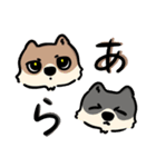 相川 犬 猫 兎 雛 蝉（個別スタンプ：11）