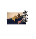 まるたま！！（個別スタンプ：5）