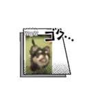 まるたま！！（個別スタンプ：6）