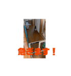 れいのすたんぷ 1（個別スタンプ：2）