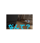 れいのすたんぷ 1（個別スタンプ：6）