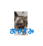 れいのすたんぷ 1（個別スタンプ：8）