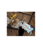名犬きなこの日常（個別スタンプ：3）