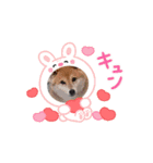 りんとハク（個別スタンプ：5）