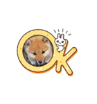 りんとハク（個別スタンプ：7）
