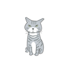 ふわふわした猫（個別スタンプ：3）