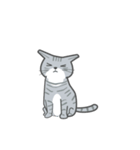 ふわふわした猫（個別スタンプ：5）