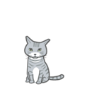 ふわふわした猫（個別スタンプ：6）