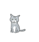 ふわふわした猫（個別スタンプ：9）