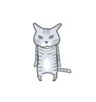 ふわふわした猫（個別スタンプ：15）