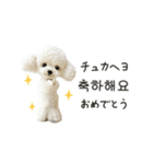 もふもふトイプードルと♡韓国語おしゃべり（個別スタンプ：14）
